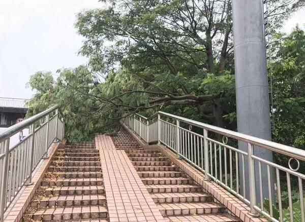 “天鴿”登陸了又怎樣，智彤印刷正常發(fā)放福利！
